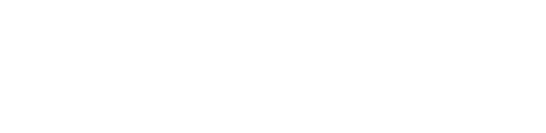 Neuronic — Ideas Digitales